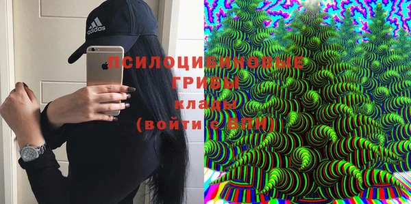 гашик Балабаново