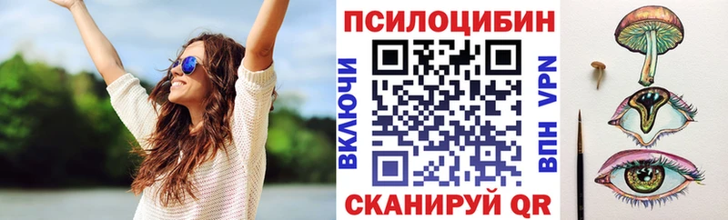 Псилоцибиновые грибы ЛСД Боготол