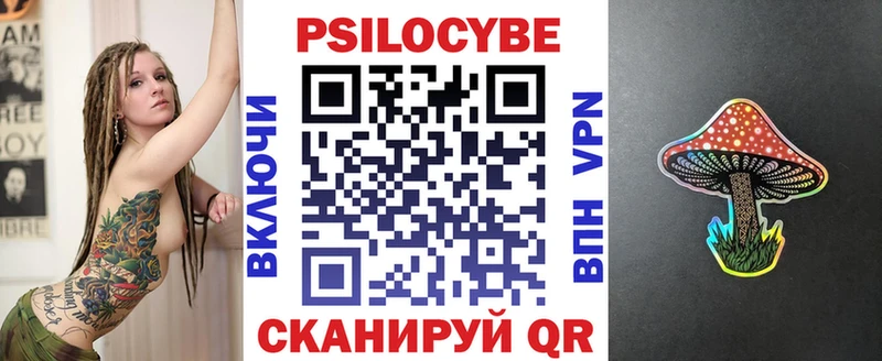 Галлюциногенные грибы Psilocybe  Боготол 
